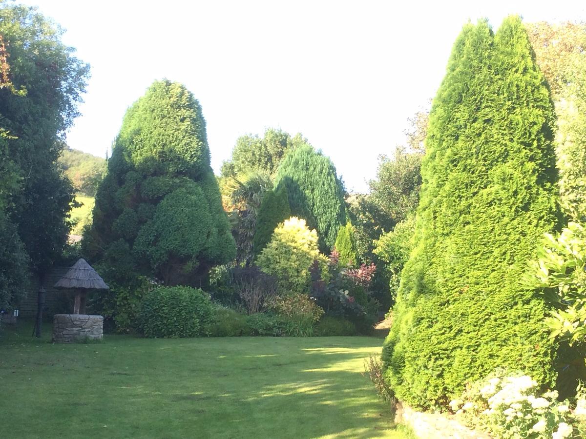 Abbotsbury Tea Rooms Buitenkant foto