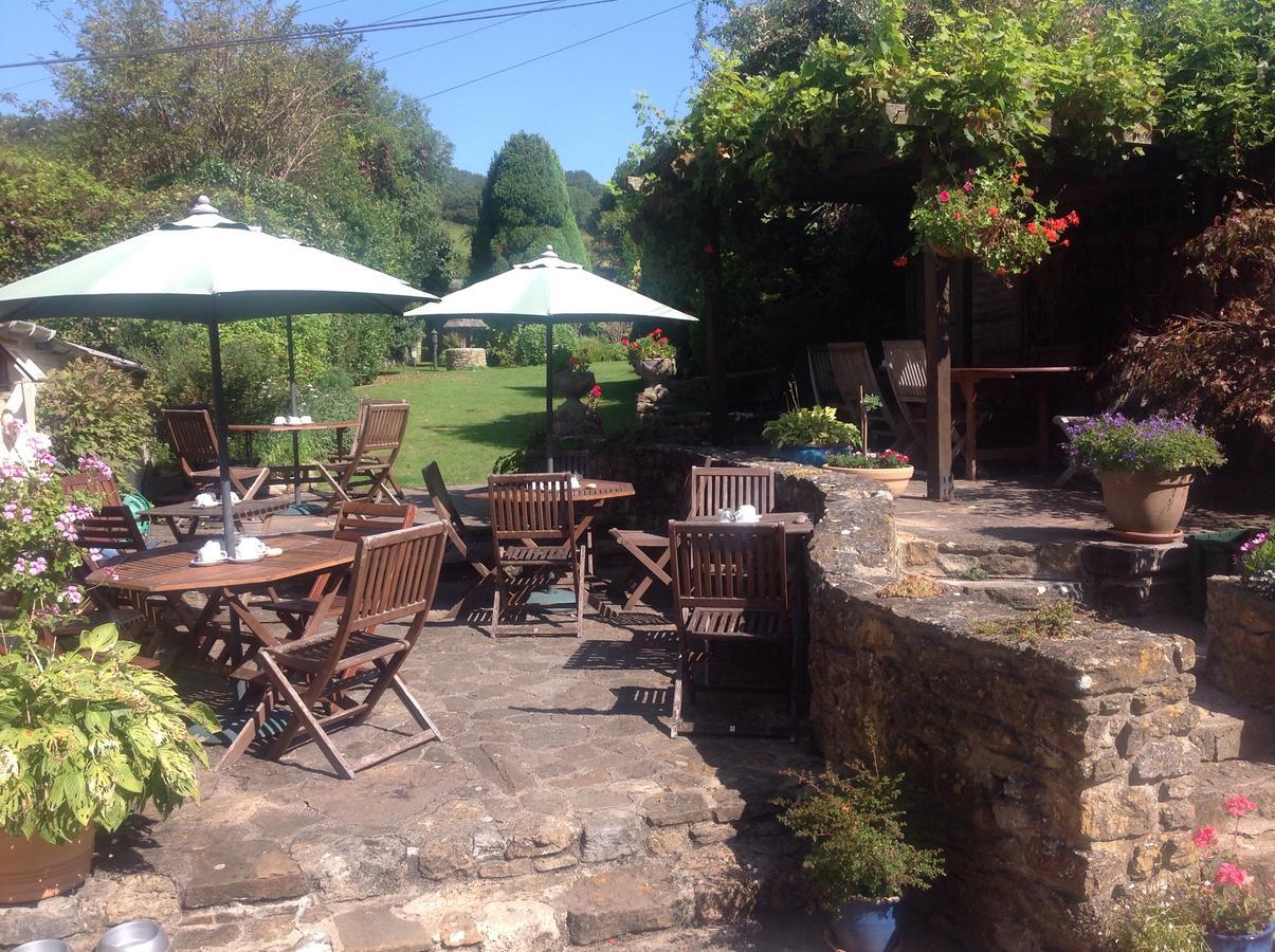 Abbotsbury Tea Rooms Buitenkant foto
